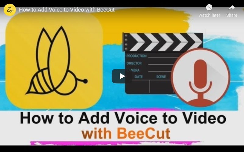Voice Over: Learn to Do It Like a Pro
