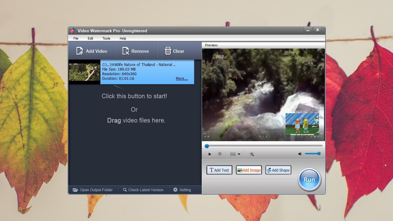 instal the new for windows BeeCut Video Editor 1.7.10.2