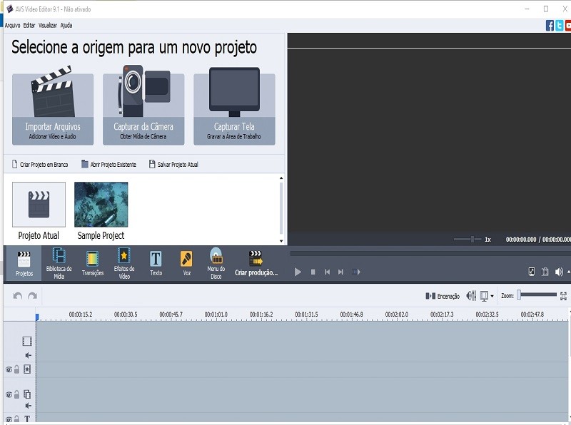 AVS video interface