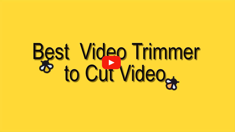 video trimmer