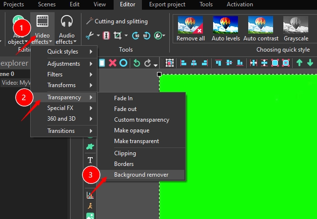 Green screen editor: \