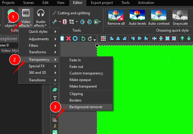 Green Screen Editor