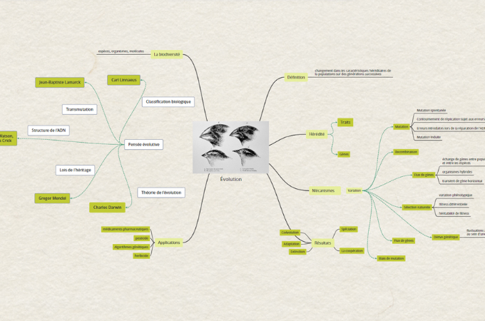 carte mentale de l'évolution