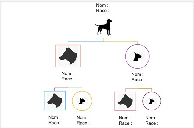 carte pedigree chien
