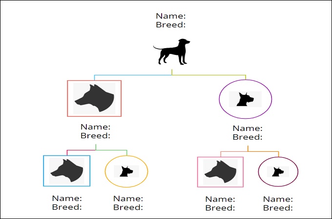 Pedigree Chart Guide Definition Symbols Examples