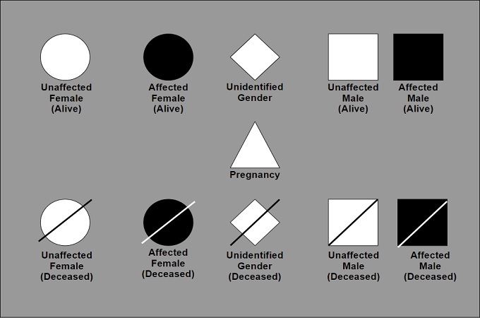 pedigree diagram symbols
