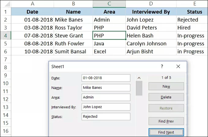 data input in excel