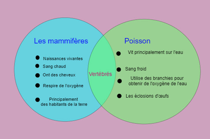 modèle de diagramme de Venn 2 cercles