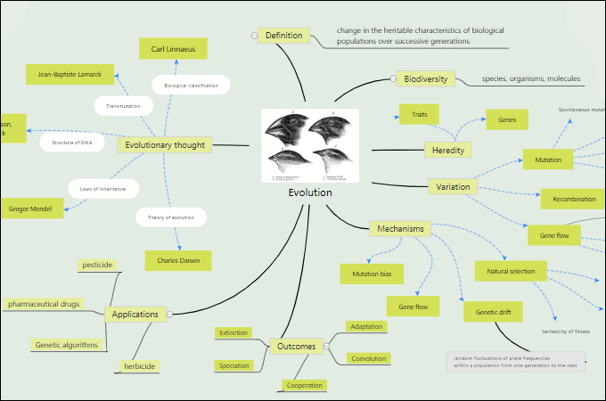 science concept map template