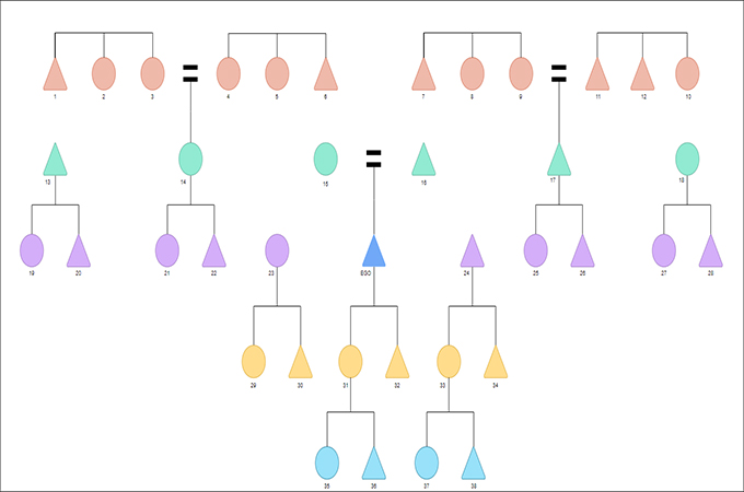 Kinship Chart Diagram Tutorial Explain With Examples