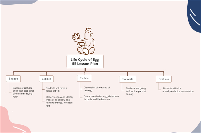life cycle of egg 5e lesson plan template