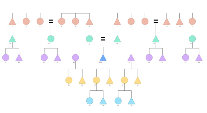 遺傳圖譜流程圖範本