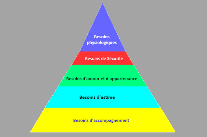 pyramide de maslow 5 niveaux