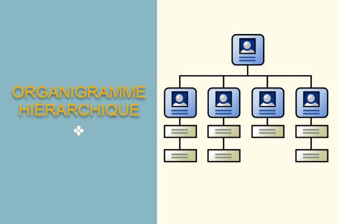 organigramme hiérarchique