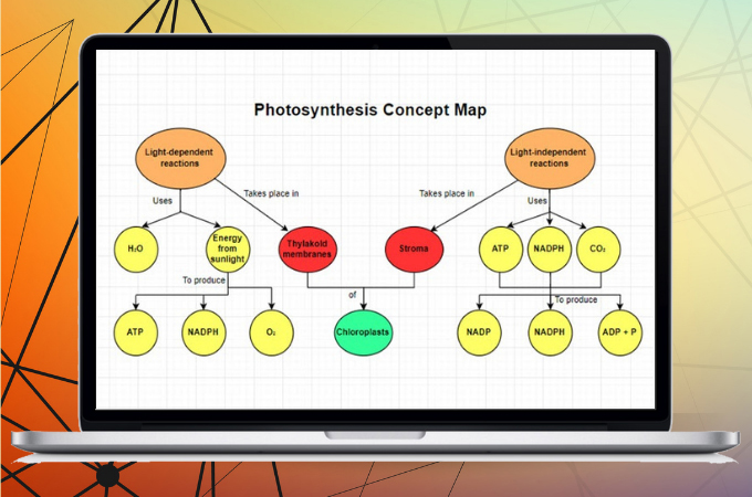 cobrir o mapa conceitual da fotossíntese