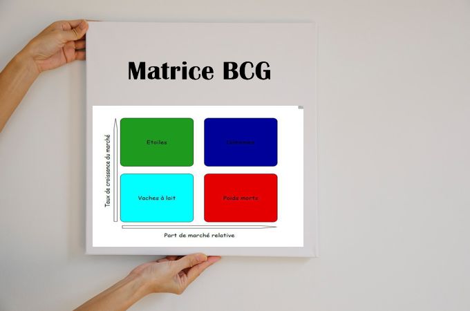 matrice bcg