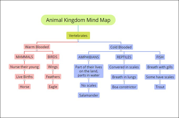 Animal Kingdom Mind Map by GitMind