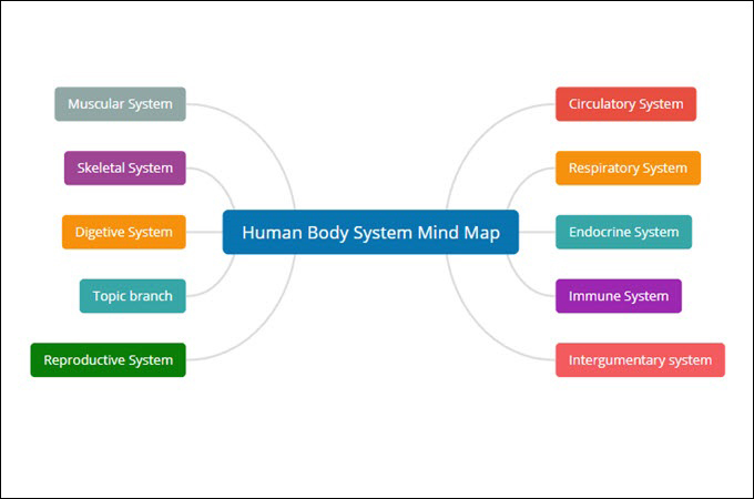 Human Body System Mindmap By GitMind
