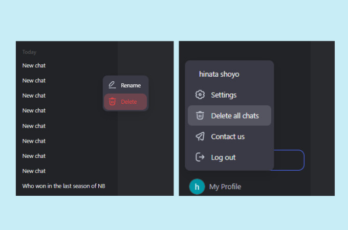 delete or rename chats