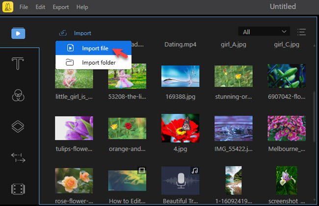 import files to BeeCut