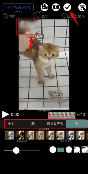 超簡単 動画にモザイクをかけるおすすめの方法