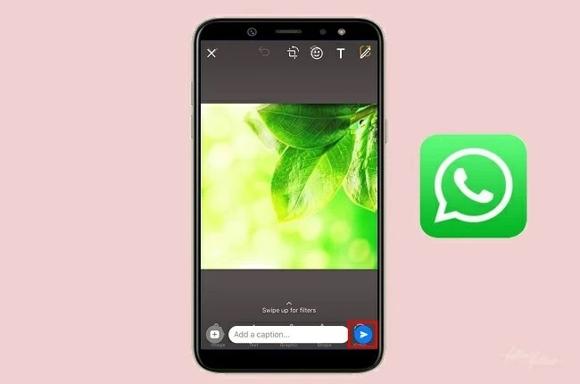 Como enviar vídeos dos TikTok no WhatsApp