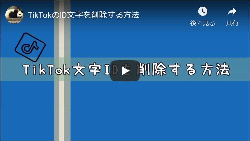 動画からロゴ ウォーターマークを除去する方法