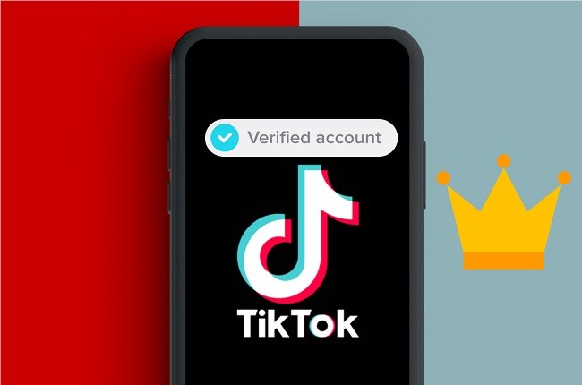 obtener TikTok verificado