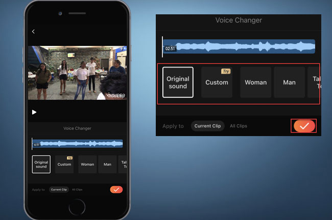 change video voice vivavideo
