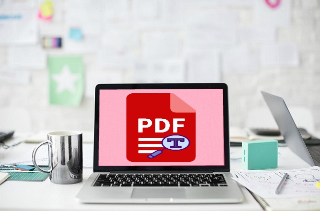 Search Text in PDF