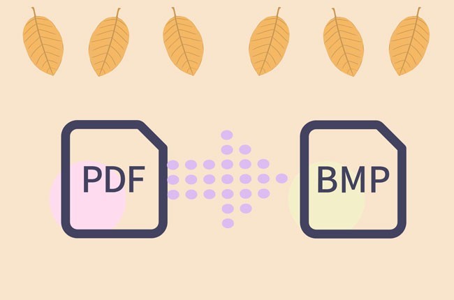 convertire PDF in bitmap