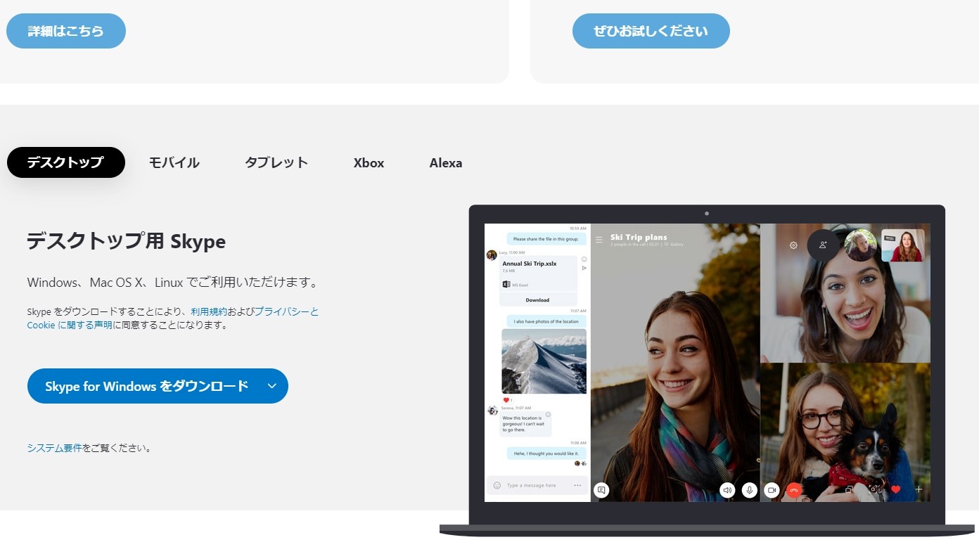 web会議アプリ/ツール-skype