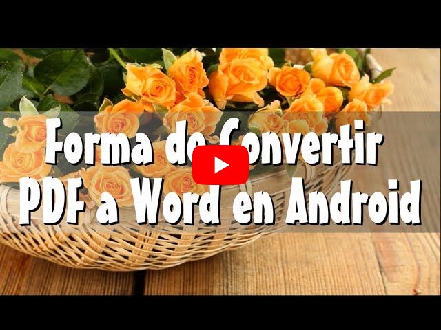 Formas de Convertir PDF a Word en Android