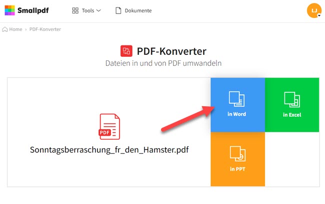 PDF in Word umwandeln