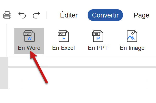 convertir PDF en Word
