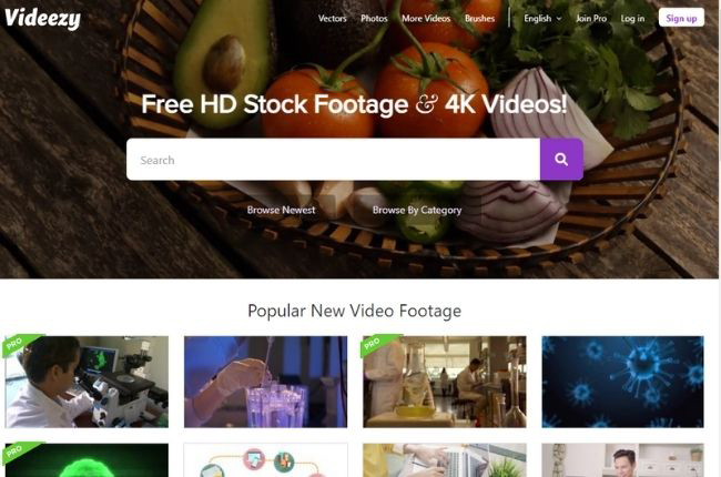 videezy sitio web de videos de stock gratis