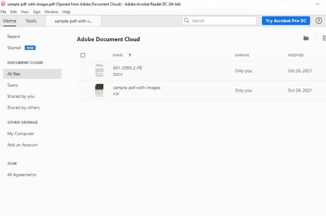 Adobe Saving PDF Cloud