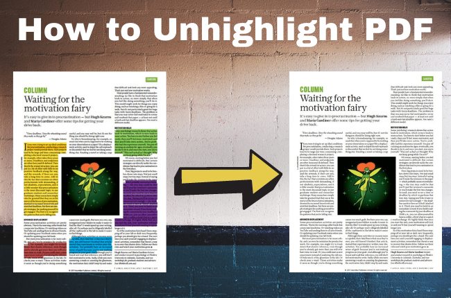  How To Unhighlight Text In PDF In Seconds