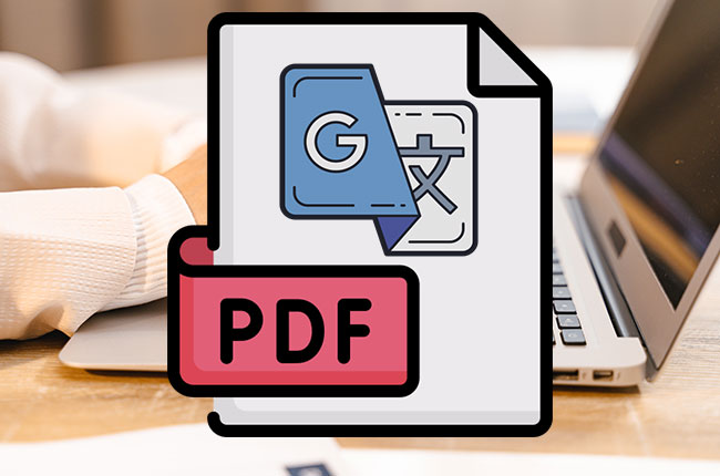 PDF reader with translator