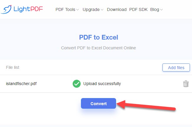 convert PDF bank statement to Excel