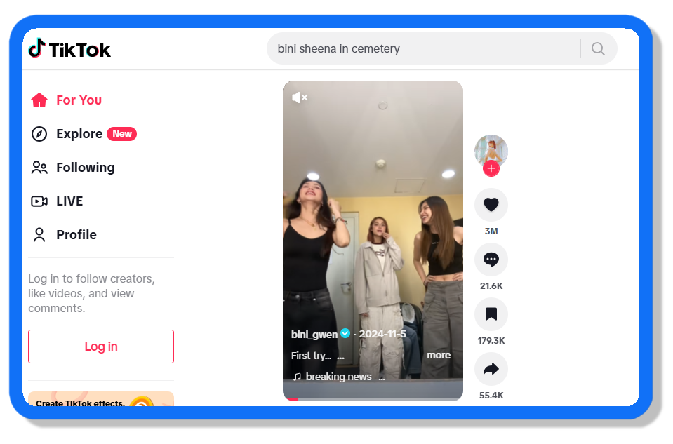 tiktok interface