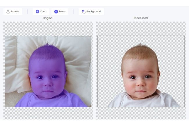 Useful Guide To Have Your DIY Baby Passport Photo For Free 2024   Picwish Remove Background 3 