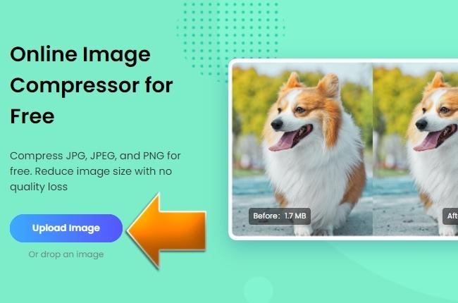 compress jpeg to 200kb with picwish
