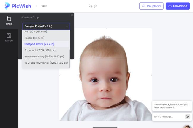 Useful Guide To Have Your DIY Baby Passport Photo For Free 2024   Image Cropper Crop 