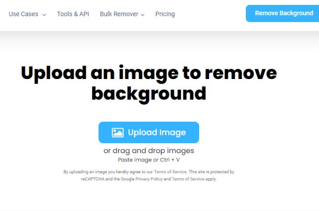 Convert Image to PNG With Transparency Background Cut Out 