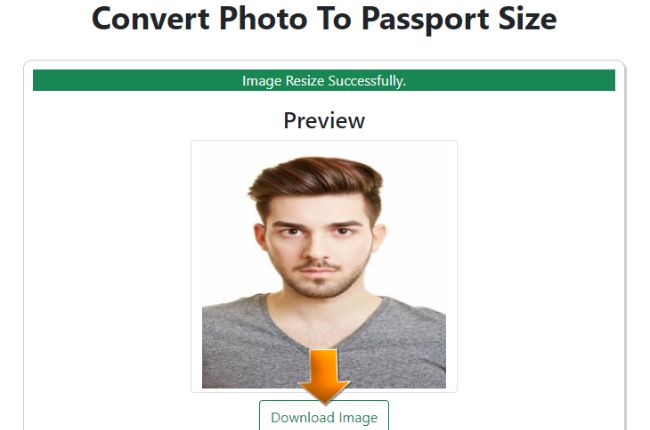 convert pic to passport size
