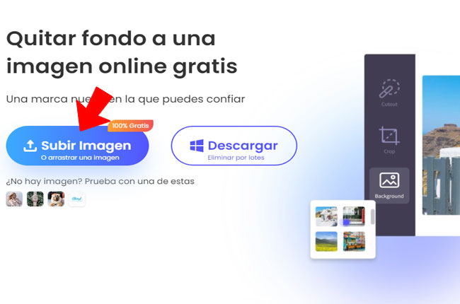 Guía para eliminar el fondo de una imagen en PowerPoint 2022 Gratis