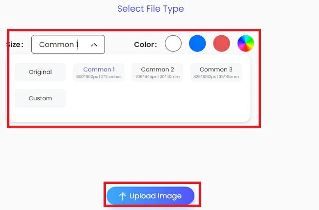 upload the passport photo to picwish