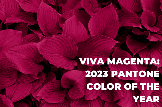 US' Pantone introduces Viva Magenta as colour of the year 2023