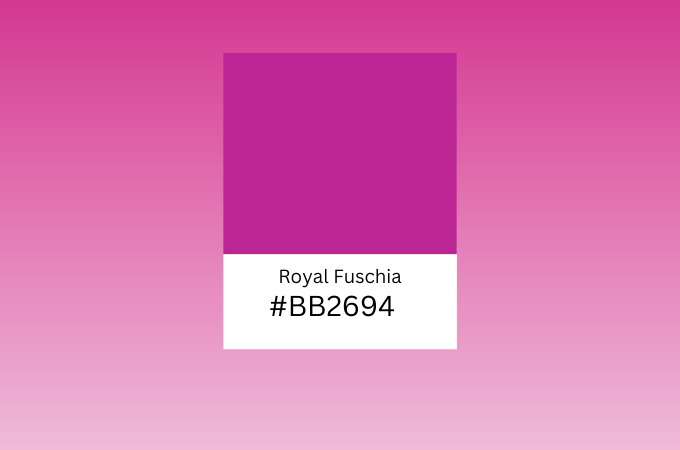 Viva Magenta: the 2023 Pantone Color of the Year!